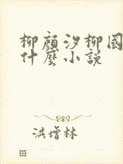 柳颜汐柳国安是什么小说