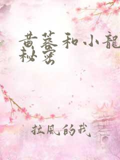 黄蓉和小龙女的秘密