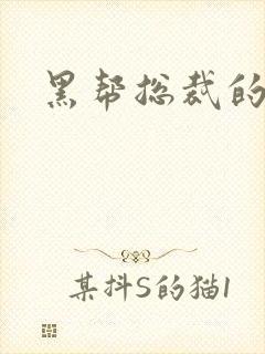 黑帮总裁的宠妻