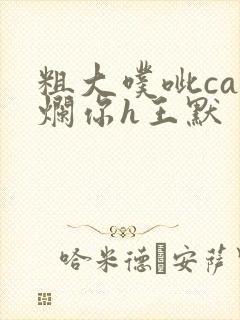 粗大噗呲cao烂你h王默