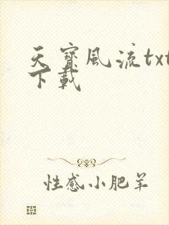天宝风流txt下载