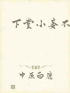 下堂小妾不好惹