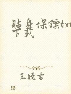 贴身保镖txt下载