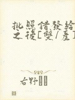 批照错发给情敌之后[双/产]