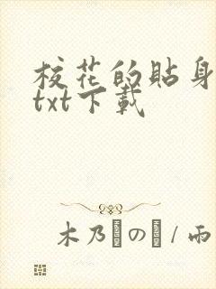 校花的贴身保镖txt下载