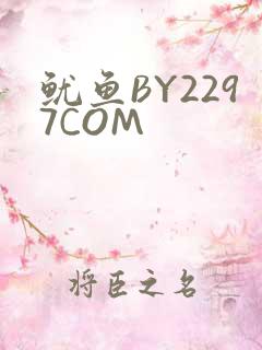 鱿鱼BY2297COM