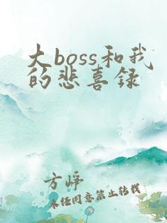 大boss和我的悲喜录