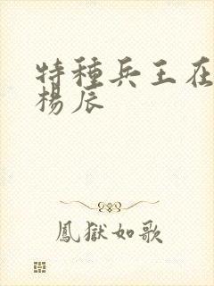 特种兵王在都市杨辰