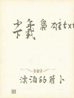 少年枭雄txt下载