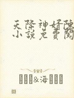 天降神婿陈黄皮小说免费阅读