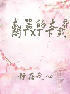 成器的大哥笔趣阁TXT下载