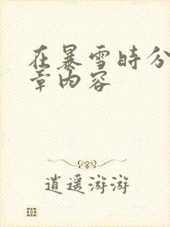 在暴雪时分54章内容