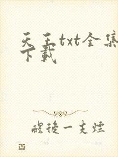 天王txt全集下载