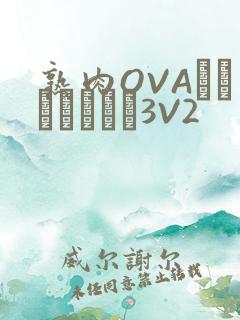 熟肉OVAちゃんはしたい3V2