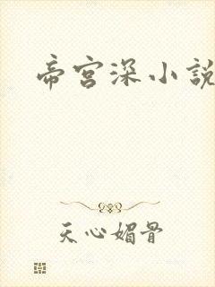帝宫深小说