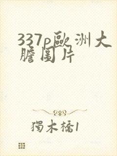 337p欧洲大胆图片