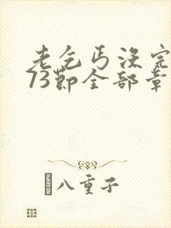 老乞丐没完没了73节全部章节内容