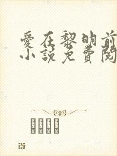 爱在黎明前降落小说免费阅读