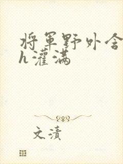 将军野外含公主h灌满