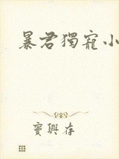 暴君独宠小俏后