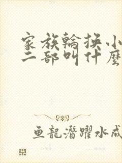 家族轮换小说第二部叫什么名字