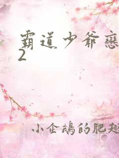 霸道少爷恋上我2