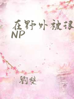 在野外被很多人NP