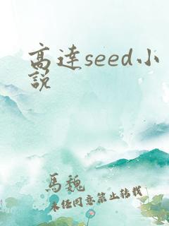 高达seed小说
