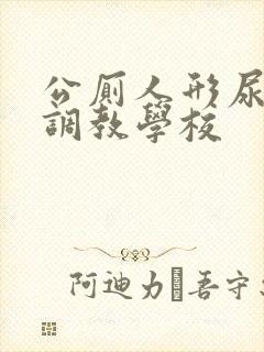 公厕人形尿便器调教学校