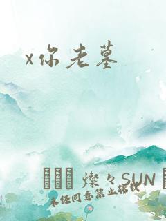 x你老墓
