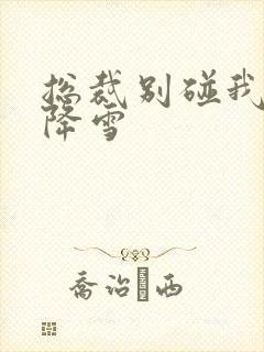 总裁别碰我 韩降雪