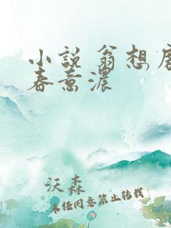 小说 翁想房中春意浓