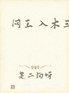 网王 入木三分