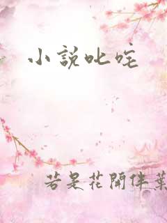 小说叱咤