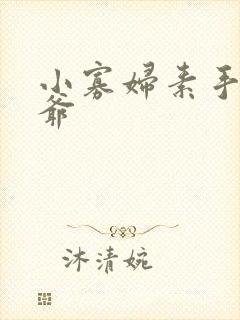 小寡妇素手擒四爷