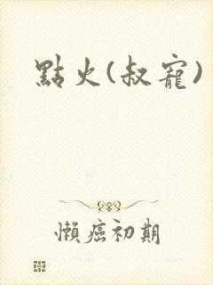 点火(叔宠)