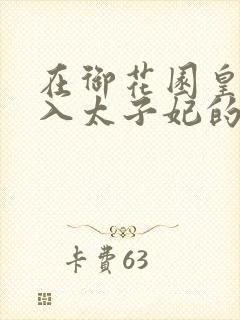 在御花园皇上进入太子妃的小说