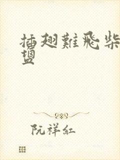 插翅难飞柴米油盐