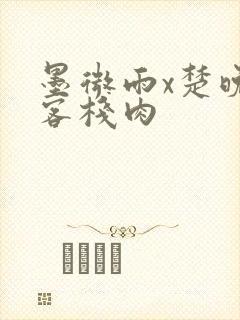 墨微雨x楚晚宁客栈肉