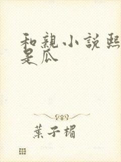 和亲小说熙瓜不是瓜