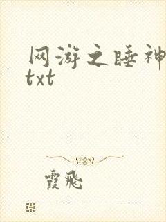 网游之睡神传说txt