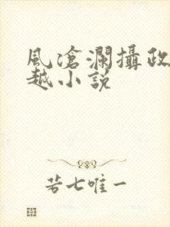 风沧澜摄政王穿越小说