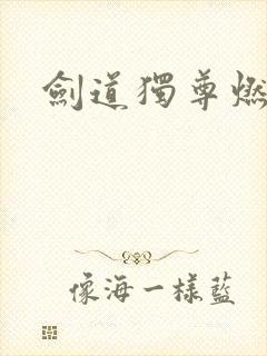 剑道独尊燃文
