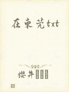 在东莞txt