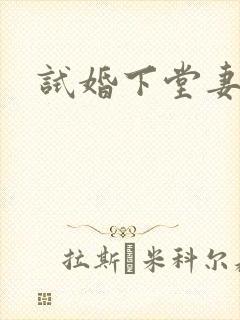 试婚下堂妻