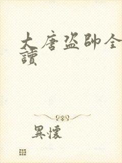 大唐盗帅全文阅读