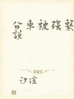 公车被强系列小说