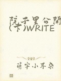 院子里公开惩戒(下)WRITE