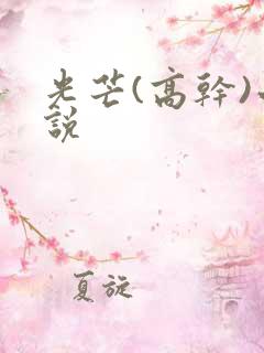 光芒(高干)小说