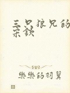 三只狼兄的宠妻宋钦